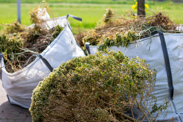 Best Estate Cleanout Services  in Howard Lake, MN